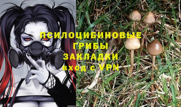 тгк Абинск