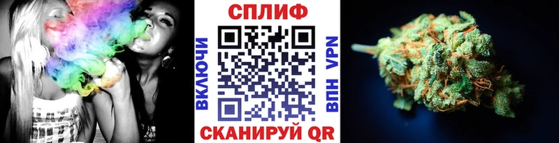 Шишки марихуана конопля  Заводоуковск 